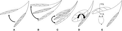 Measurement of morphological changes of pear leaves in airflow based on high-speed photography